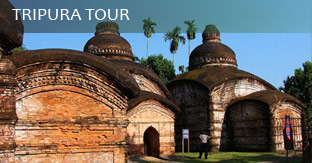 assam tour